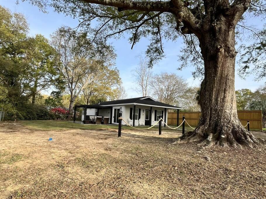 Shack In Foley/ Hot Tub / Modern Cozy Holiday home *